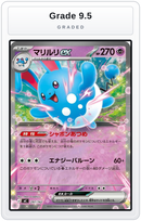 Graded - Azumarill ex — Grade 9.5 graded overlay