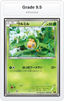 Graded - Sewaddle — Grade 9.5 graded overlay