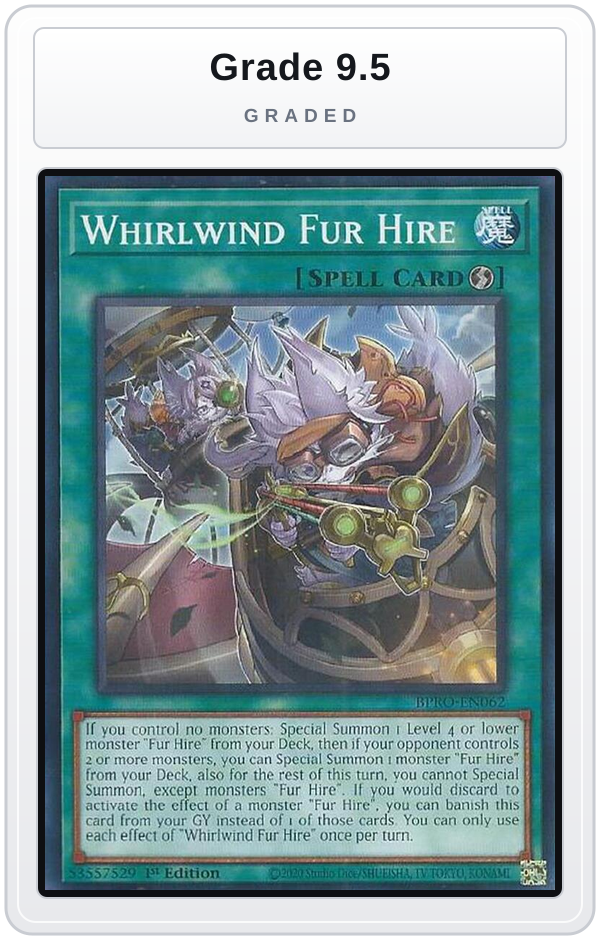 Graded - Whirlwind Fur Hire — Grade 9.5 graded overlay