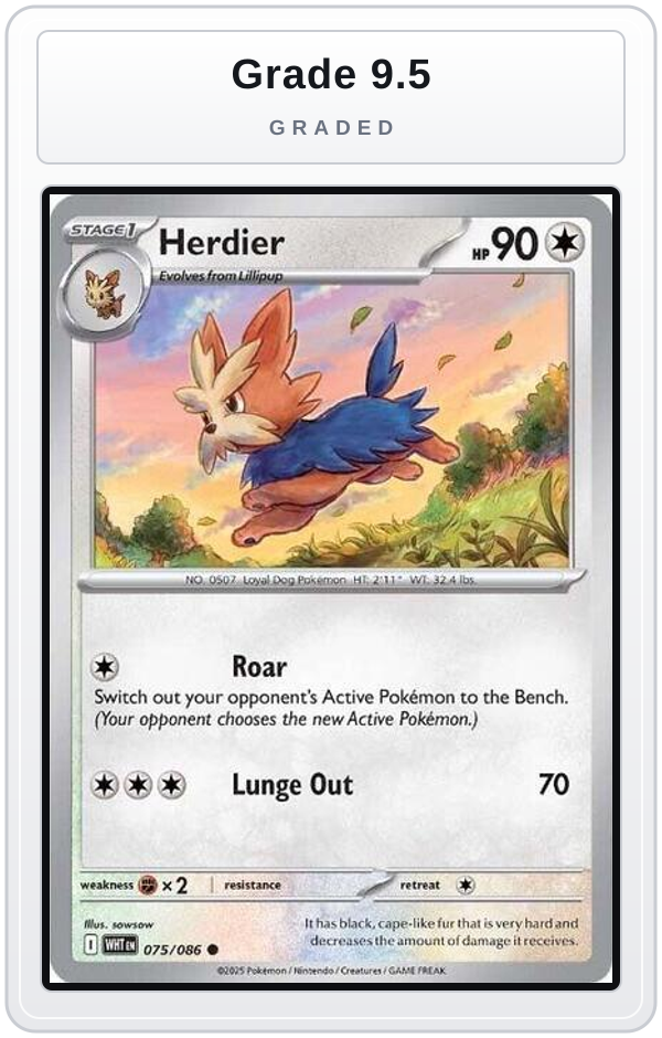 Graded - Herdier — Grade 9.5 graded overlay
