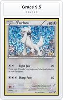 Graded - Furfrou - 12/12 — Grade 9.5 graded overlay
