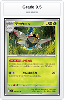 Graded - Ninjask - 008/063 — Grade 9.5 graded overlay