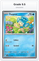 Graded - Panpour — Grade 9.5 graded overlay