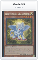 Graded - Lightsworn Dragonling — Grade 9.5 graded overlay