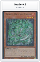 Graded - Tenpai Dragon Fadra — Grade 9.5 graded overlay