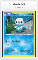 Graded - Oshawott - 4/12 — Grade 9.5 graded overlay
