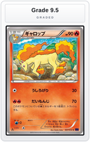 Graded - Rapidash — Grade 9.5 graded overlay