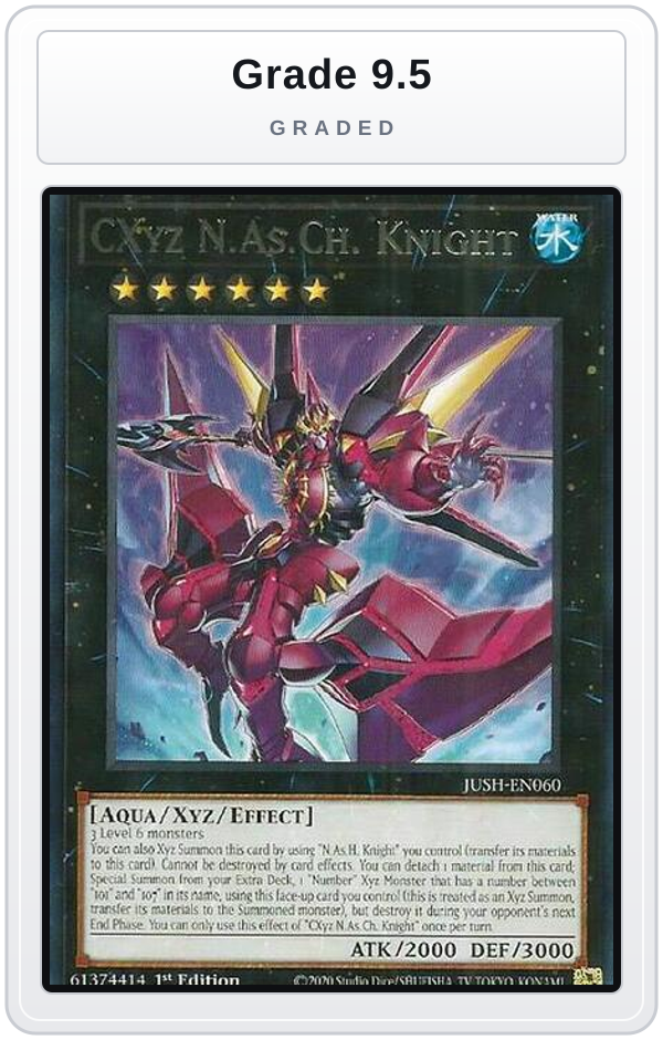 Graded - CXyz N.As.Ch. Knight — Grade 9.5 graded overlay