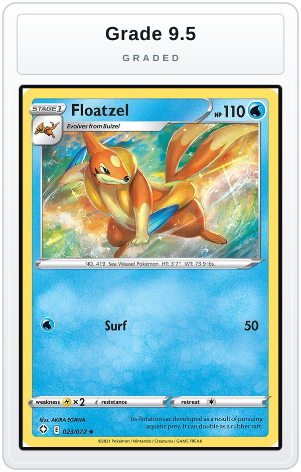 Graded - Floatzel — Grade 9.5 graded overlay