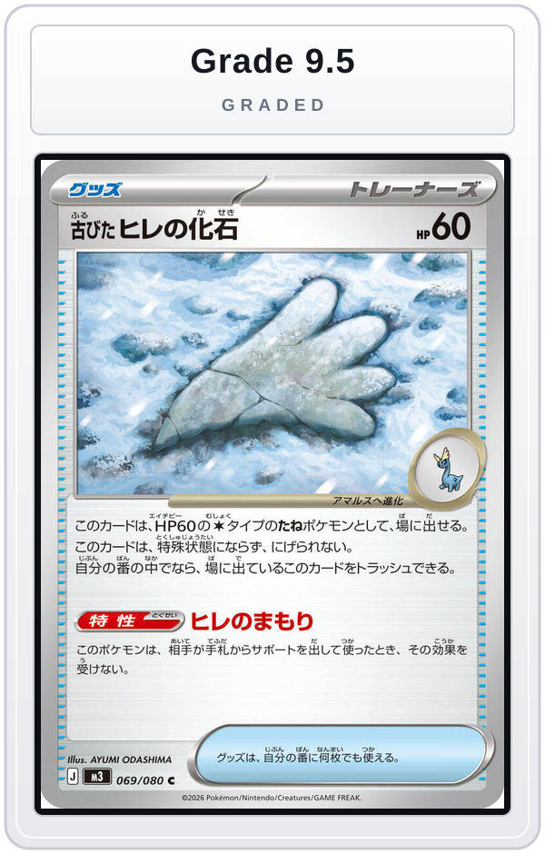 Graded - Antique Sail Fossil — Grade 9.5 graded overlay