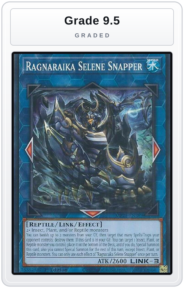 Graded - Ragnaraika Selene Snapper — Grade 9.5 graded overlay