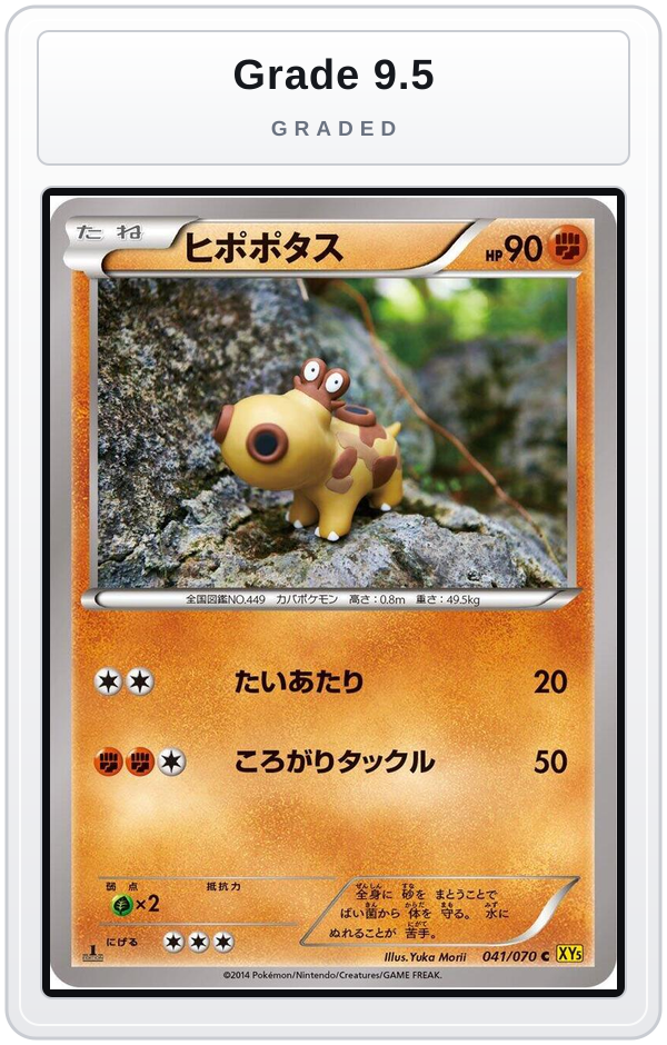 Graded - Hippopotas — Grade 9.5 graded overlay