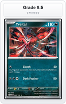 Graded - Yveltal — Grade 9.5 graded overlay