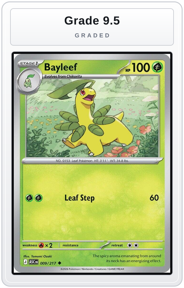 Graded - Bayleef — Grade 9.5 graded overlay