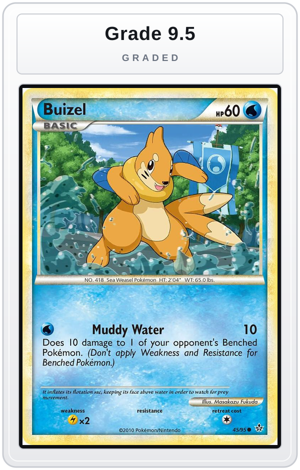 Graded - Buizel — Grade 9.5 graded overlay