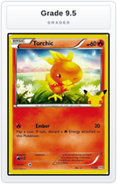 Graded - Torchic - 11/25 — Grade 9.5 graded overlay