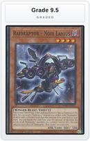 Graded - Raidraptor - Noir Lanius — Grade 9.5 graded overlay
