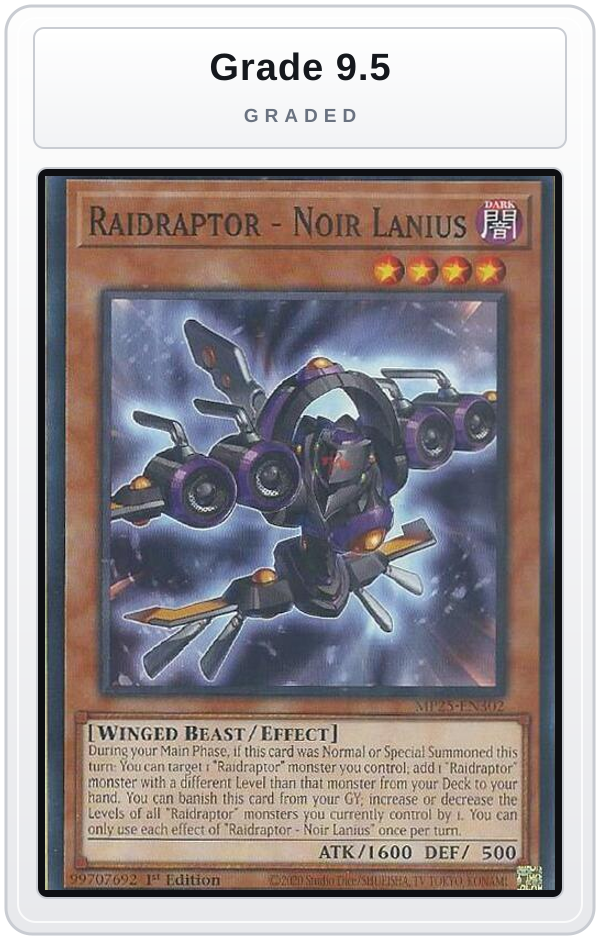 Graded - Raidraptor - Noir Lanius — Grade 9.5 graded overlay