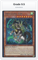 Graded - Dracotail Pan — Grade 9.5 graded overlay