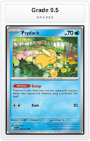 Graded - Psyduck - 039/217 — Grade 9.5 graded overlay