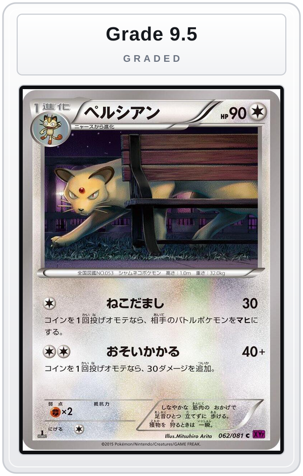 Graded - Persian — Grade 9.5 graded overlay