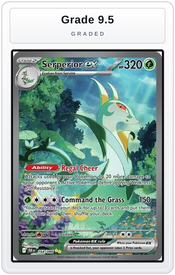 Graded - Serperior ex - 164/086 — Grade 9.5 graded overlay