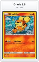 Graded - Growlithe - 1/12 — Grade 9.5 graded overlay