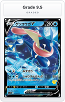 Graded - Greninja V (Pikachu Stamped) — Grade 9.5 graded overlay