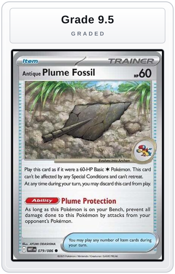 Graded - Antique Plume Fossil — Grade 9.5 graded overlay