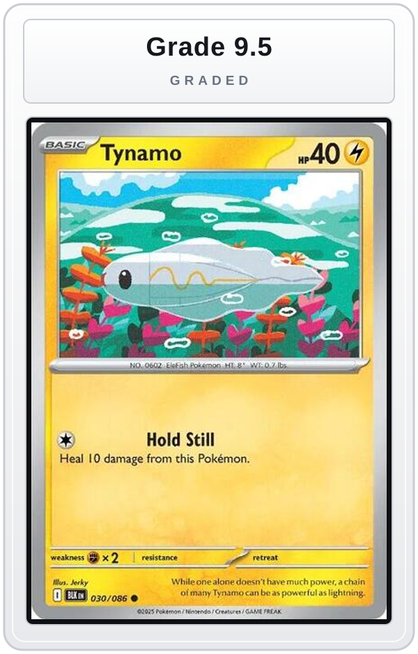 Graded - Tynamo — Grade 9.5 graded overlay