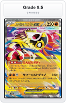 Graded - Mega Hawlucha ex - 094/193 — Grade 9.5 graded overlay