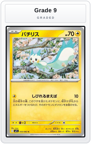 Graded - Pachirisu — Grade 9 graded overlay