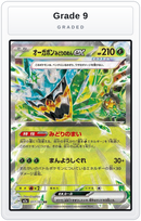 Graded - Teal Mask Ogerpon ex — Grade 9 graded overlay