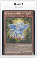 Graded - Lightsworn Dragonling — Grade 9 graded overlay