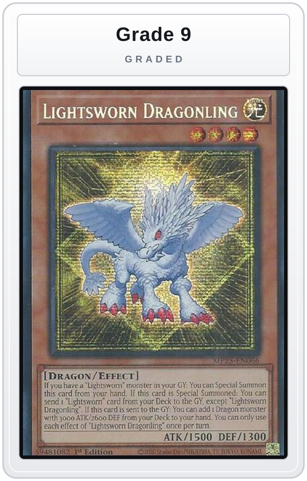 Graded - Lightsworn Dragonling — Grade 9 graded overlay