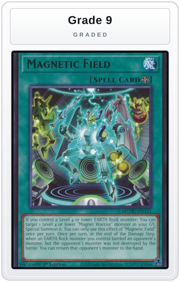 Graded - Magnetic Field — Grade 9 graded overlay