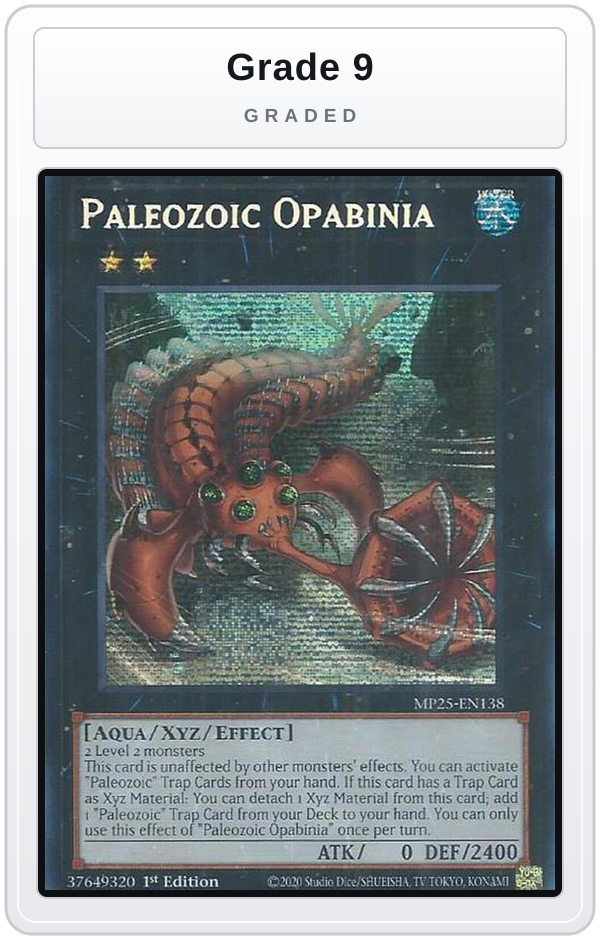Graded - Paleozoic Opabinia — Grade 9 graded overlay