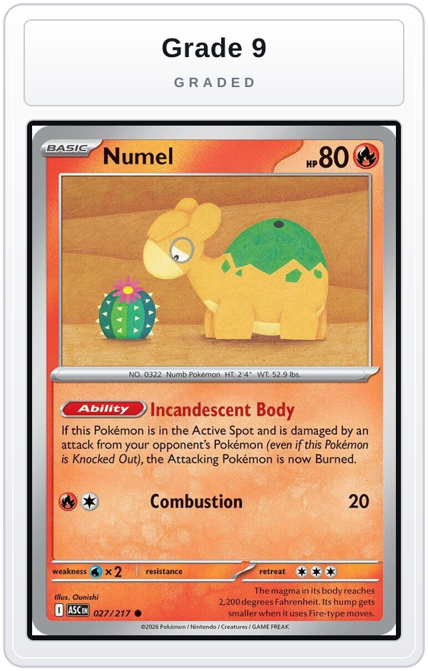 Graded - Numel - 027/217 — Grade 9 graded overlay