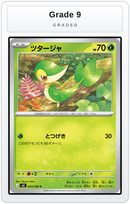 Graded - Snivy — Grade 9 graded overlay