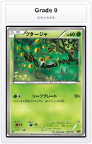 Graded - Snivy — Grade 9 graded overlay