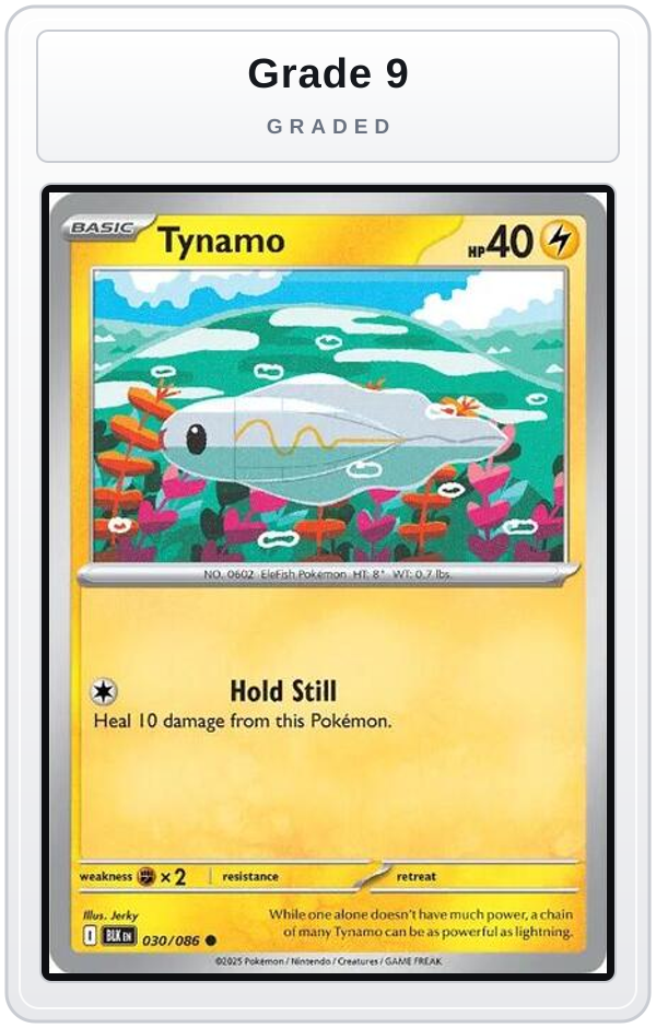 Graded - Tynamo — Grade 9 graded overlay