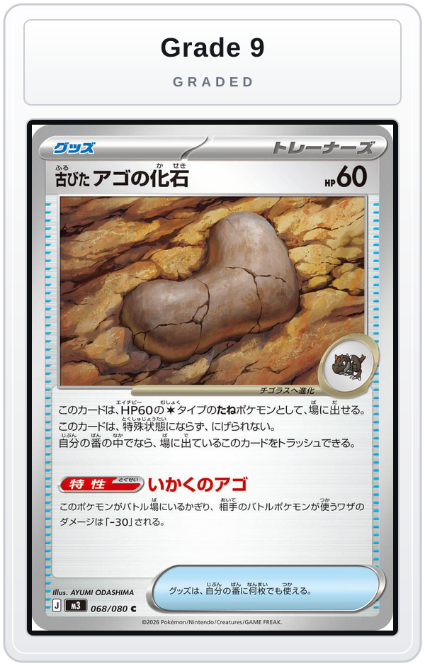Graded - Antique Jaw Fossil — Grade 9 graded overlay