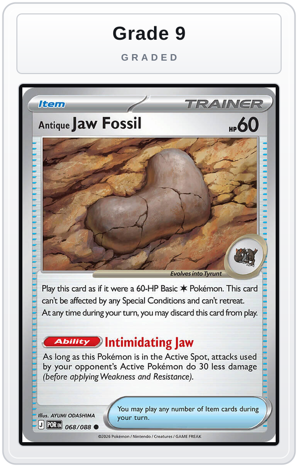 Graded - Antique Jaw Fossil — Grade 9 graded overlay