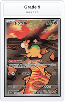 Graded - Numel - 198/193 — Grade 9 graded overlay