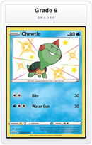 Graded - Chewtle — Grade 9 graded overlay