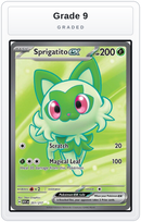 Graded - Sprigatito ex — Grade 9 graded overlay