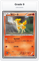 Graded - Ponyta — Grade 9 graded overlay