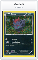 Graded - Zorua - 9/12 — Grade 9 graded overlay