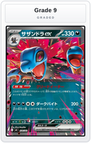 Graded - Hydreigon ex — Grade 9 graded overlay
