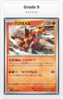 Graded - Turtonator — Grade 9 graded overlay